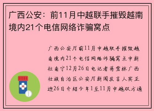 广西公安：前11月中越联手摧毁越南境内21个电信网络诈骗窝点